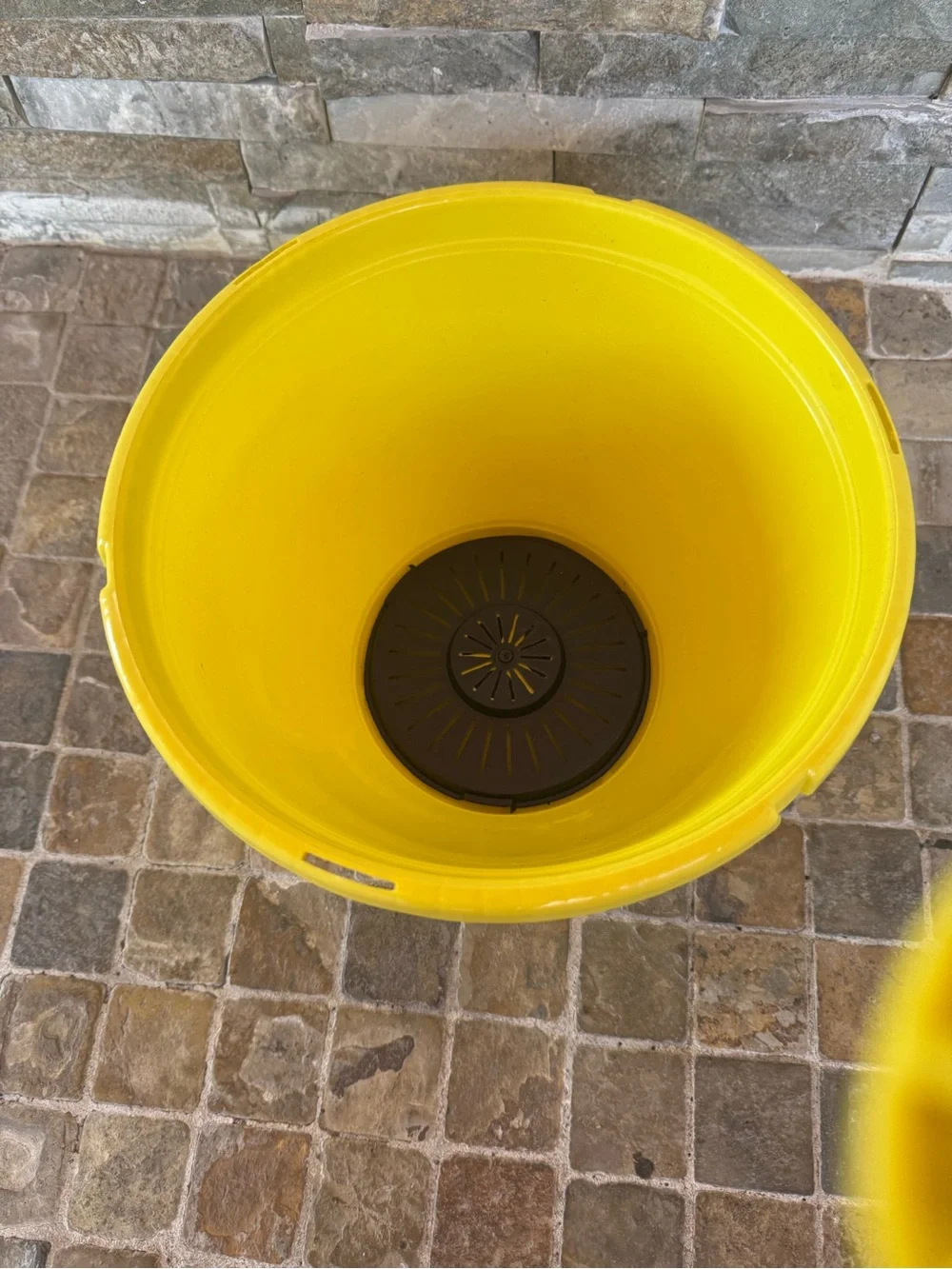2 Hanging Yellow Plastic Planter/ pot